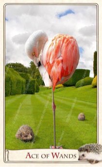Tarotkaart 'Aas van Staven'