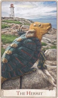 Tarotkaart 'De Kluizenaar'