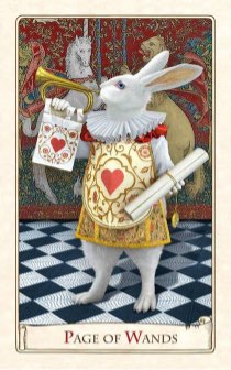 Tarotkaart 'Schildknaap van Staven'