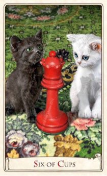 Tarotkaart 'Zes van Kelken'