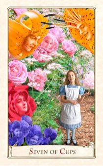 Tarotkaart 'Zeven van Kelken'