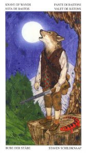 Tarotkaart 'Schildknaap van Staven'