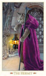 Tarotkaart 'De Kluizenaar'