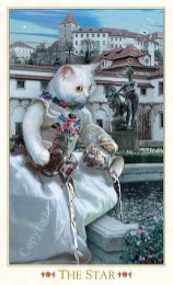 Tarotkaart 'De Ster'