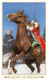 Tarotkaart 'Ridder van Zwaarden'