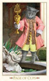 Tarotkaart 'Schildknaap van Kelken'