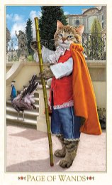 Tarotkaart 'Schildknaap van Staven'