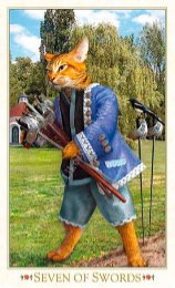 Tarotkaart 'Zeven van Zwaarden'