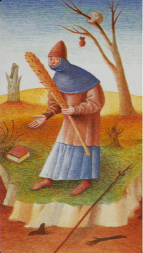 Tarotkaart 'Schildknaap van Staven'