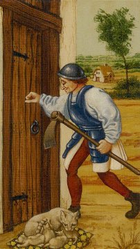 Tarotkaart 'Schildknaap van Staven'