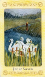 Tarotkaart 'Vijf van Zwaarden'
