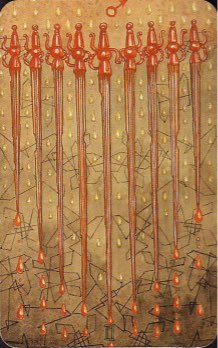 Tarotkaart 'Negen van Zwaarden'