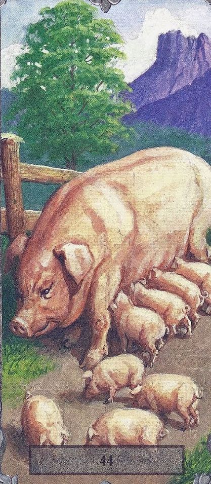 Tarotkaart 'Acht van Kelken'