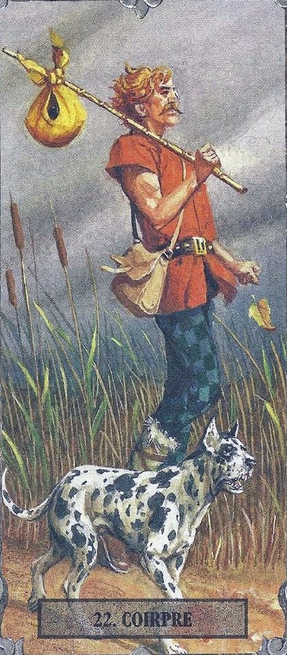 Tarotkaart 'De Dwaas'