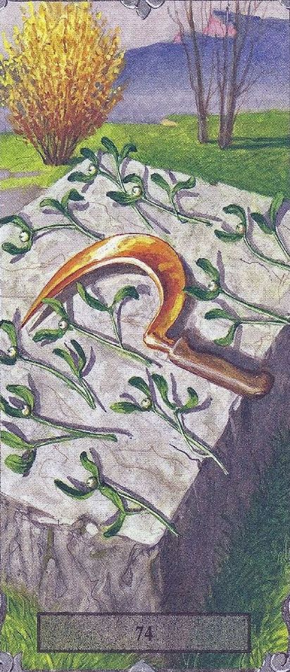 Tarotkaart 'Tien van Pentagrammen'