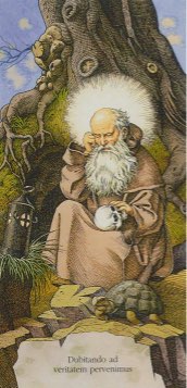 Tarotkaart 'De Kluizenaar'