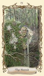 Tarotkaart 'De Kluizenaar'