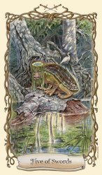 Tarotkaart 'Vijf van Zwaarden'