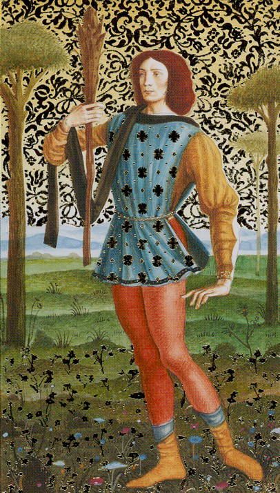 Tarotkaart 'Schildknaap van Staven'