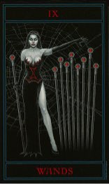 Tarotkaart 'Negen van Staven'