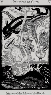 Tarotkaart 'Schildknaap van Kelken'