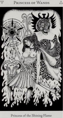 Tarotkaart 'Schildknaap van Staven'