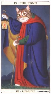Tarotkaart 'De Kluizenaar'