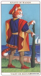 Tarotkaart 'Schildknaap van Staven'