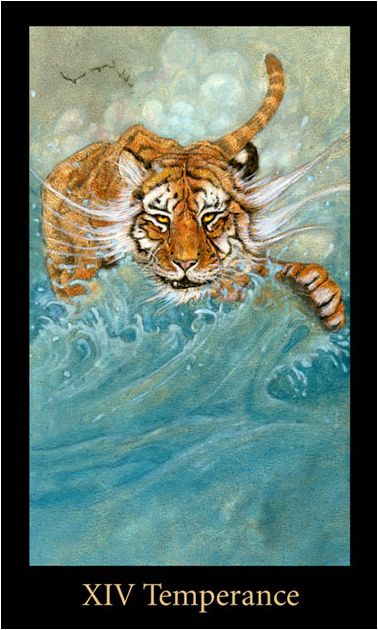 Tarotkaart 'Matigheid'