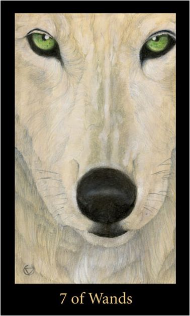 Tarotkaart 'Zeven van Staven'