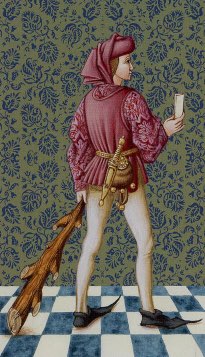 Tarotkaart 'Schildknaap van Staven'