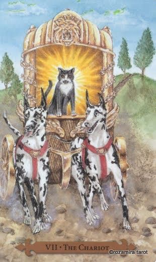 Tarotkaart 'De Zegewagen'