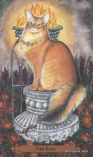Tarotkaart 'Koning van Staven'