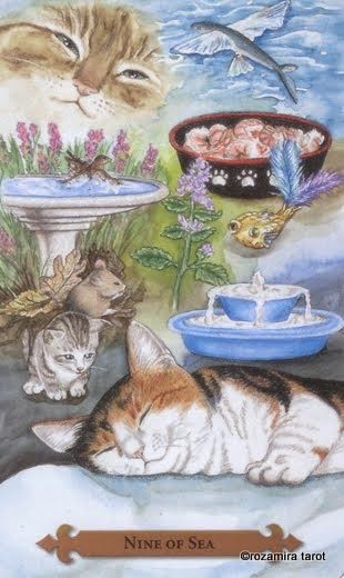 Tarotkaart 'Negen van Kelken'
