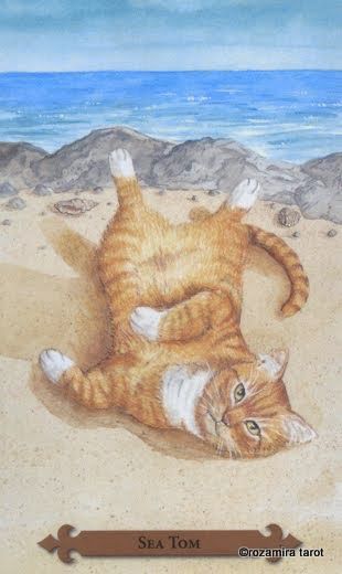 Tarotkaart 'Ridder van Kelken'