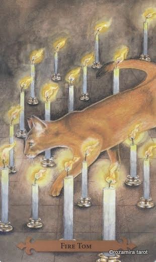 Tarotkaart 'Ridder van Staven'
