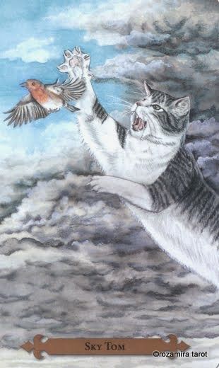 Tarotkaart 'Ridder van Zwaarden'