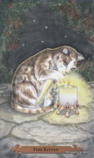 Tarotkaart 'Schildknaap van Staven'
