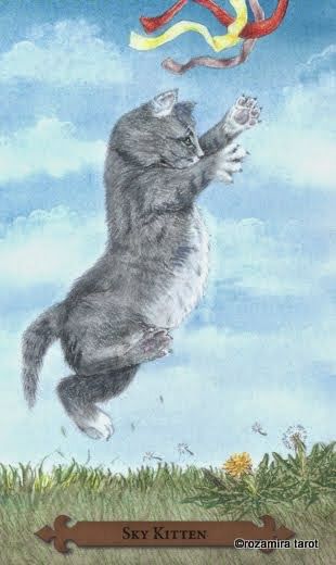 Tarotkaart 'Schildknaap van Zwaarden'