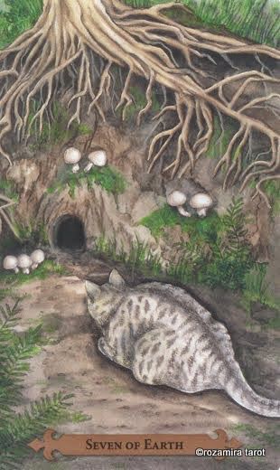 Tarotkaart 'Zeven van Pentagrammen'