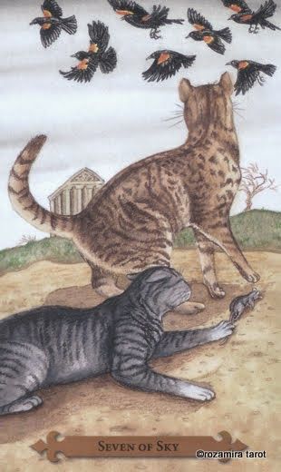 Tarotkaart 'Zeven van Zwaarden'