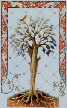 Tarotkaart 'Aas van Staven'