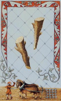 Tarotkaart 'Twee van Staven'