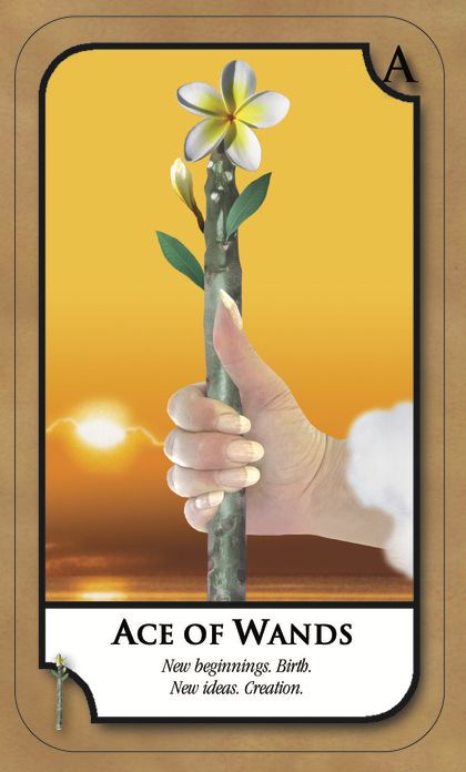 Tarotkaart 'Aas van Staven'