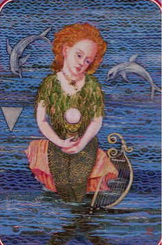 Tarotkaart 'Schildknaap van Kelken'