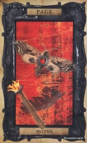 Tarotkaart 'Schildknaap van Staven'