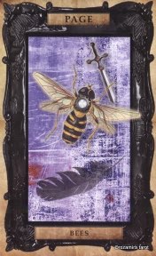 Tarotkaart 'Schildknaap van Zwaarden'