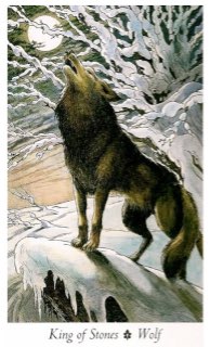 Tarotkaart 'Koning van Pentagrammen'