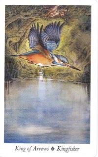 Tarotkaart 'Koning van Zwaarden'