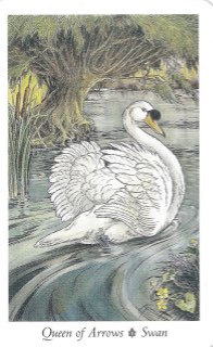 Tarotkaart 'Koningin van Zwaarden'